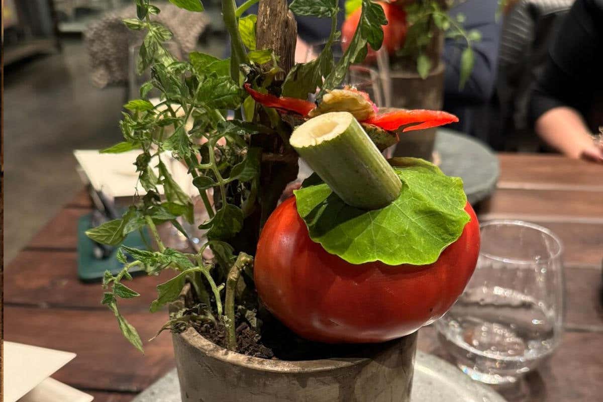 La cucina endemica di Rodolfo Guzmán, il cuoco cileno fra i più famosi al mondo