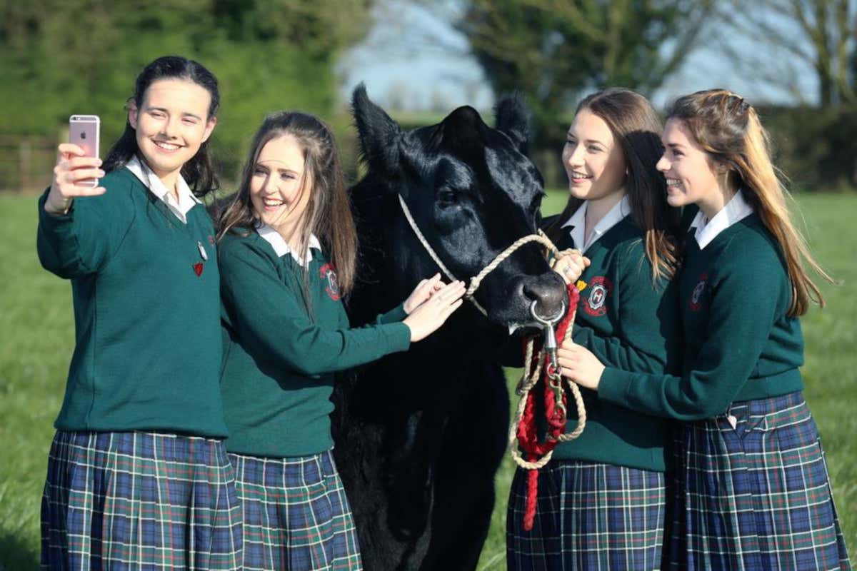 Gli studenti finalisti seguono tutti gli aspetti dell’allevamento: dalla cura e alimentazione dei capi, al benessere animale