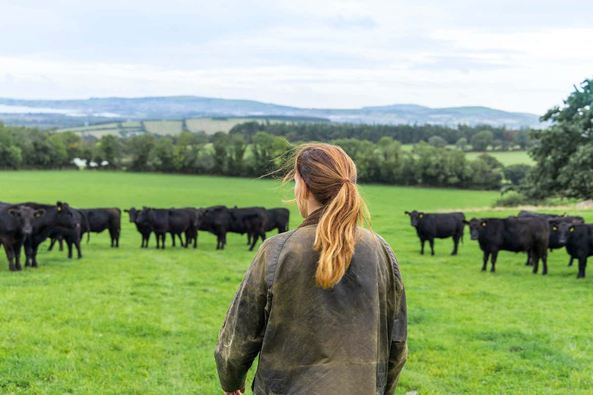Coinvolgere i giovani nell'allevamento rafforza le competenze e crea opportunità professionali concrete