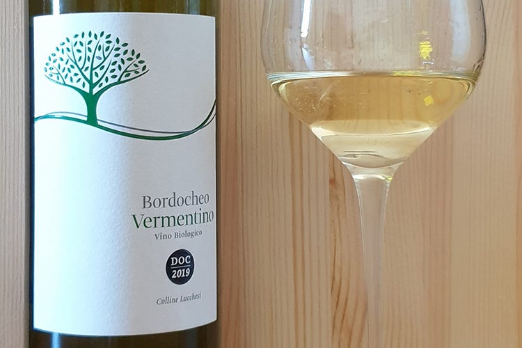 Ripartiamo dal vino Vermentino 2019 Bordocheo