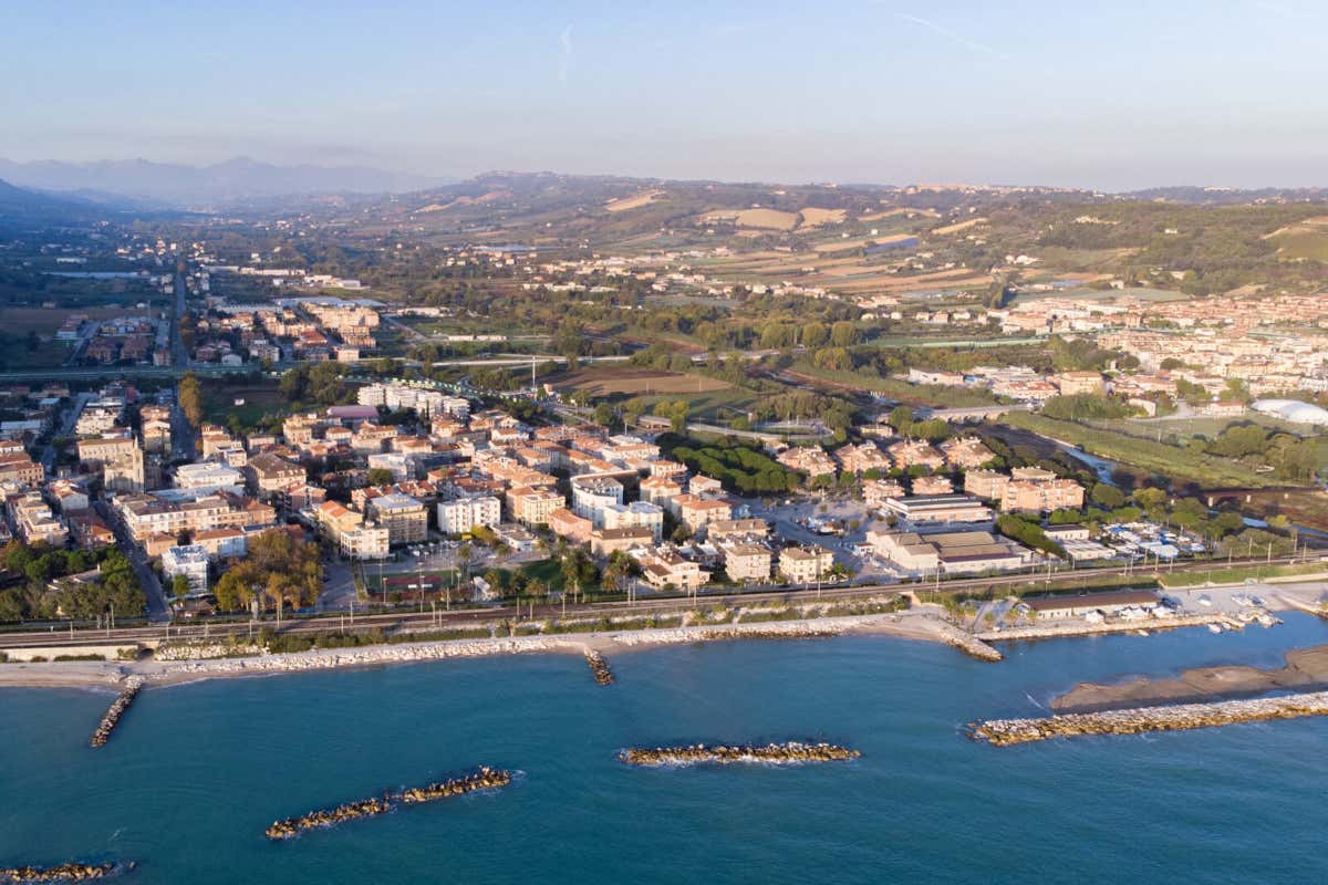 Olio delle Marche, un oro verde tra colline, Adriatico e identità agricola