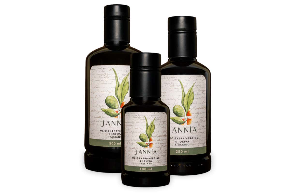 Jannìa, olio da cultivar Pennulara di Jannìa Oil You Need