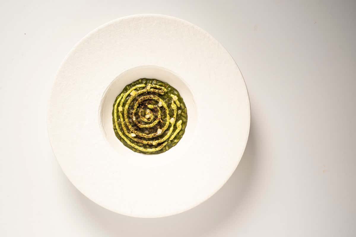 Borgia Milano: dove il mare e la terra si incontrano nei piatti di Giacomo Lovato