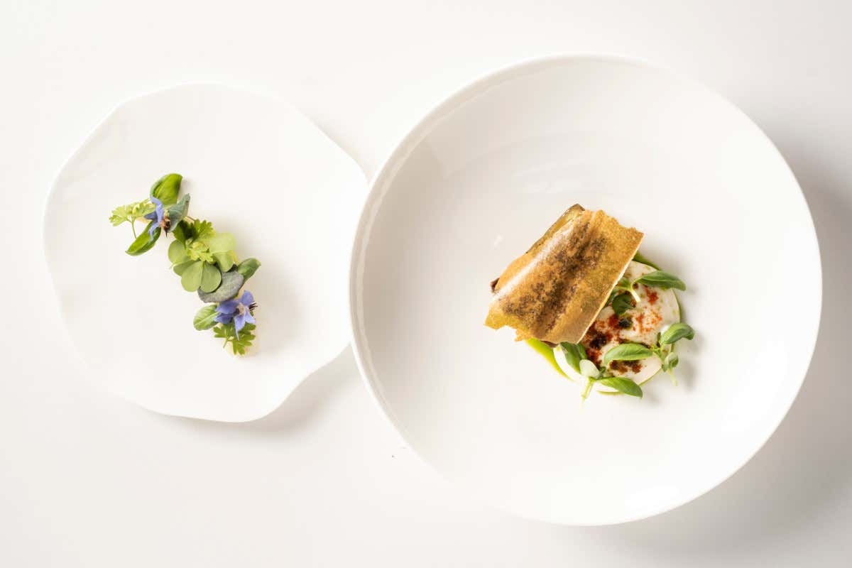 Borgia Milano: dove il mare e la terra si incontrano nei piatti di Giacomo Lovato