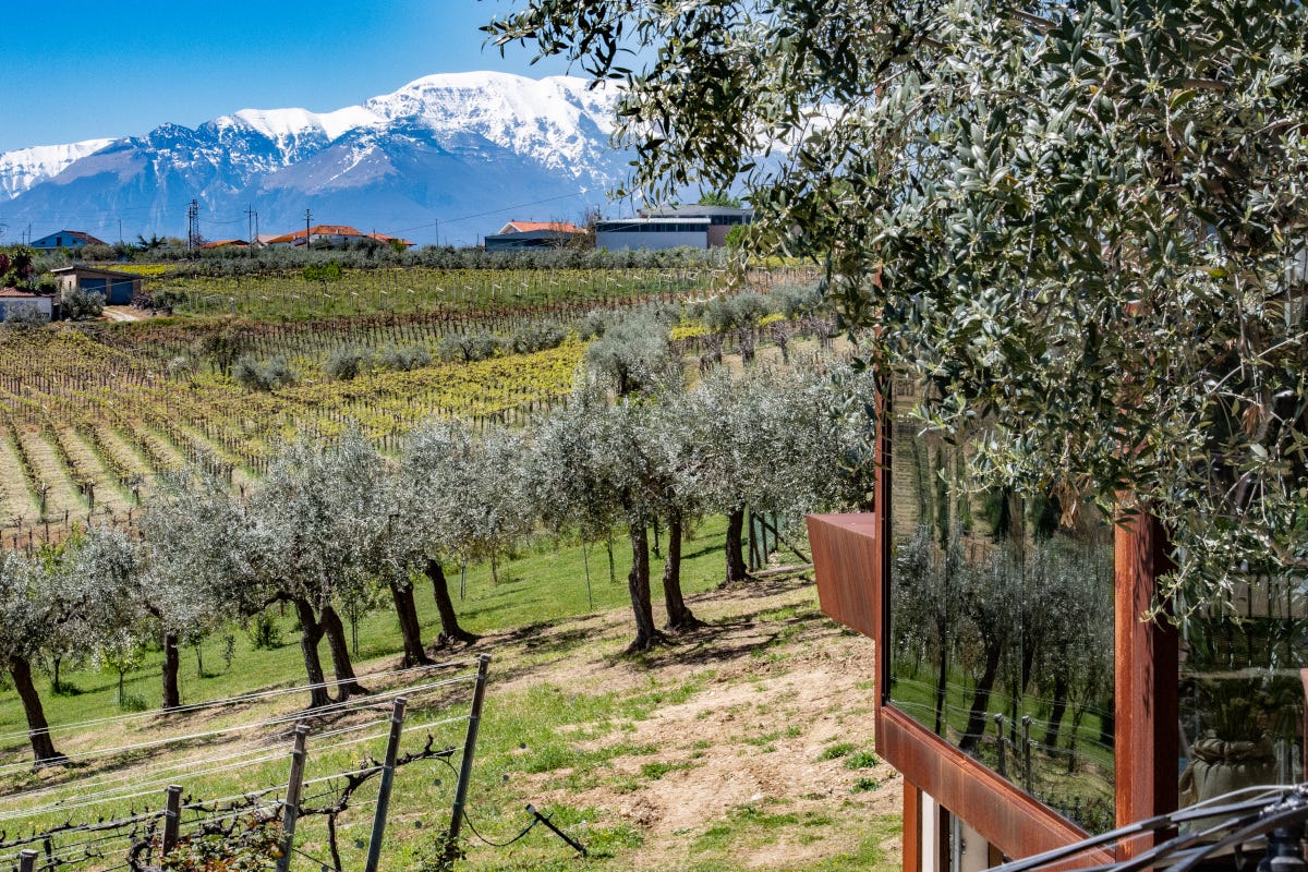 Le vigne di Fantini La quarta estate di Borgo Baccile, oasi d’accoglienza in Abruzzo