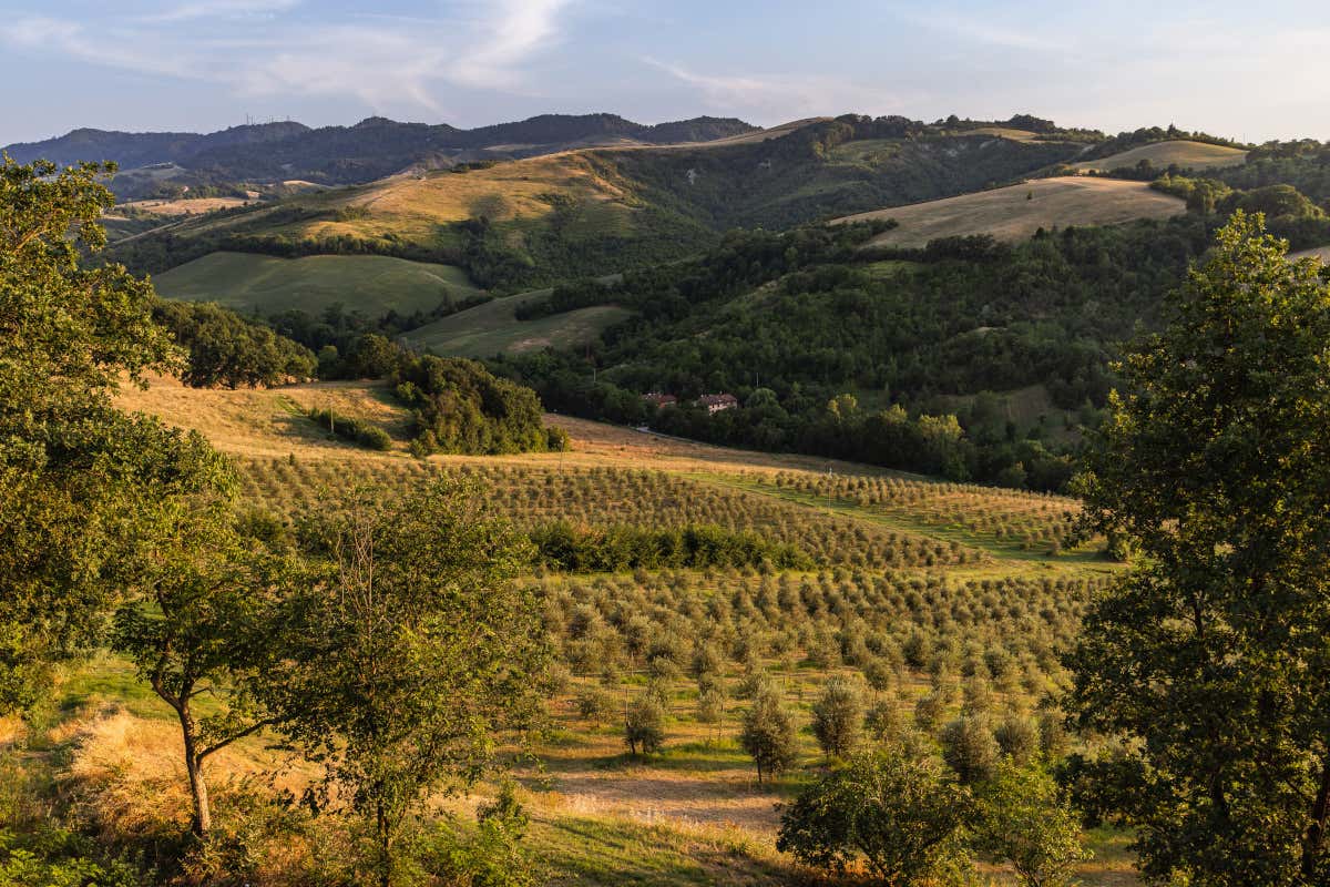 La vista sui colli bolognesi da Borgo alle Crete