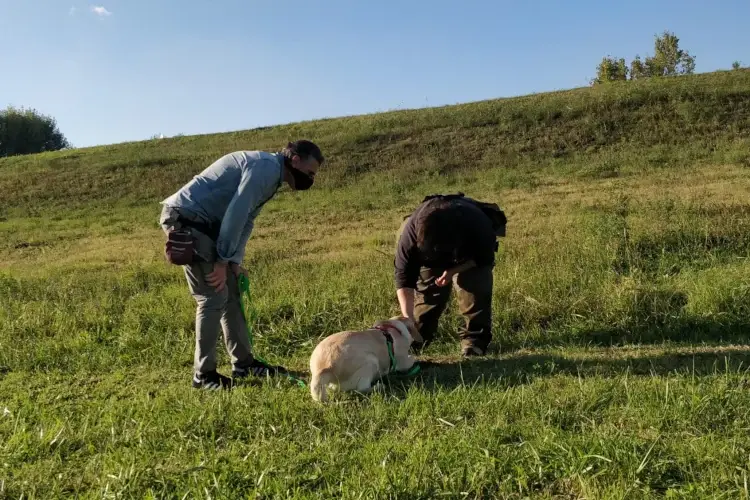 Fonte: Associazione Nazionale Citt&agrave; del Tartufo Viaggio tra le citt&agrave; del tartufo&nbsp; Borgocarbonara in Lombardia