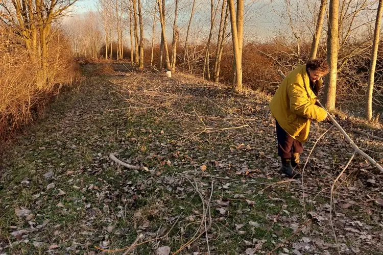 Fonte: Associazione Nazionale Citt&agrave; del Tartufo Viaggio tra le citt&agrave; del tartufo&nbsp; Borgocarbonara in Lombardia