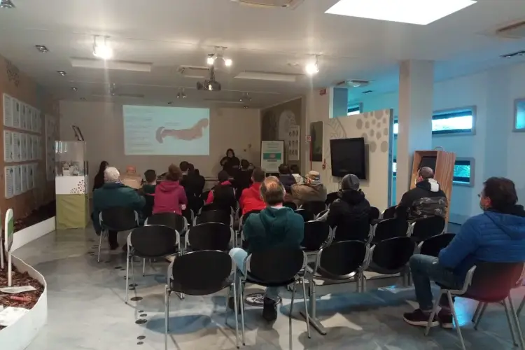 Fonte: Associazione Nazionale Citt&agrave; del Tartufo Viaggio tra le citt&agrave; del tartufo&nbsp; Borgocarbonara in Lombardia