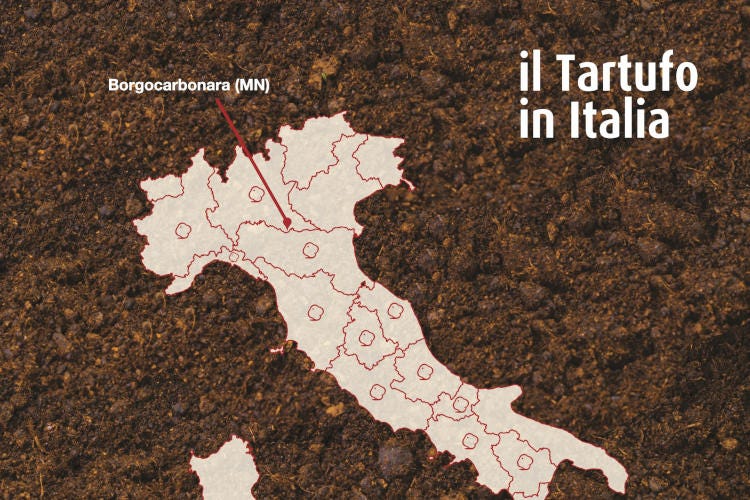 Fonte: Associazione Nazionale Città del Tartufo  Viaggio tra le città del tartufo  Borgocarbonara in Lombardia