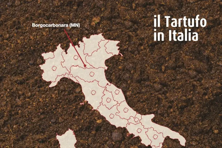Fonte: Associazione Nazionale Citt&agrave; del Tartufo&nbsp; Viaggio tra le citt&agrave; del tartufo&nbsp; Borgocarbonara in Lombardia