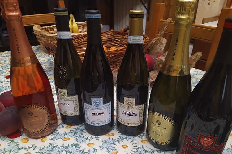 Alcune etichette dell'azienda - Borgo la Caccia sogna gli Usa Si punta alle 350mila bottiglie