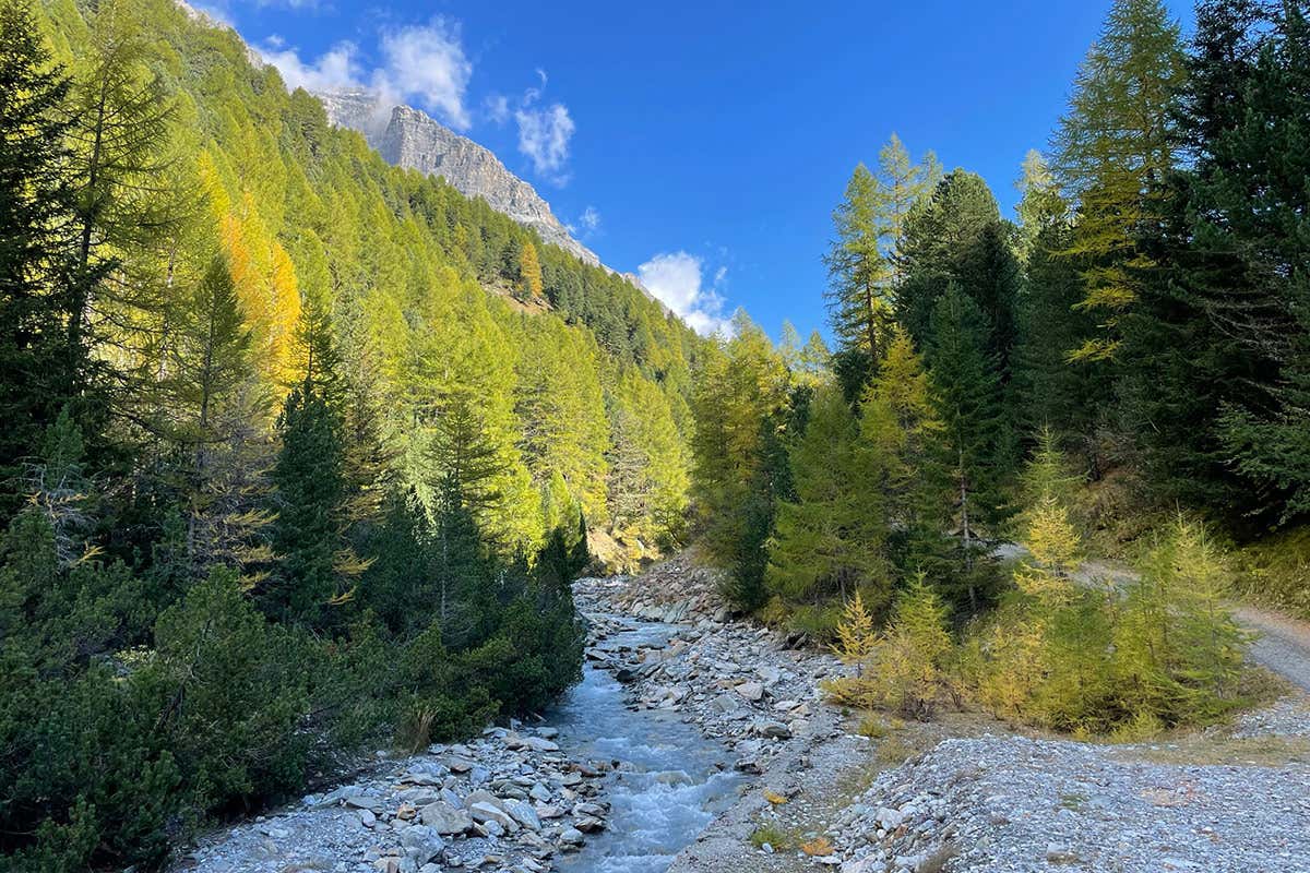 Riparte l’inverno a Bormio, dal 27 novembre si scia (e non solo)