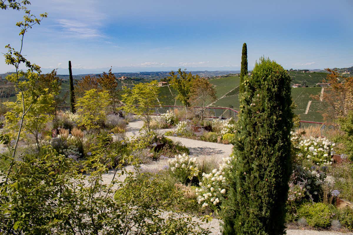 La nuova stagione del Boscareto: apre il ristorante La Rei Natura 