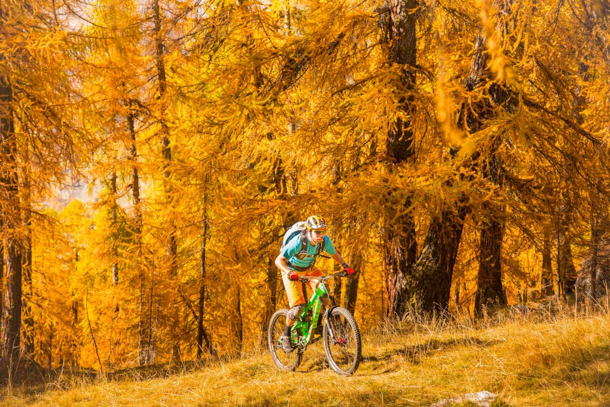 Livigno: neve per gli sportivi, coccole per i gourmet Livigno: neve per gli sportivi, coccole per i gourmet