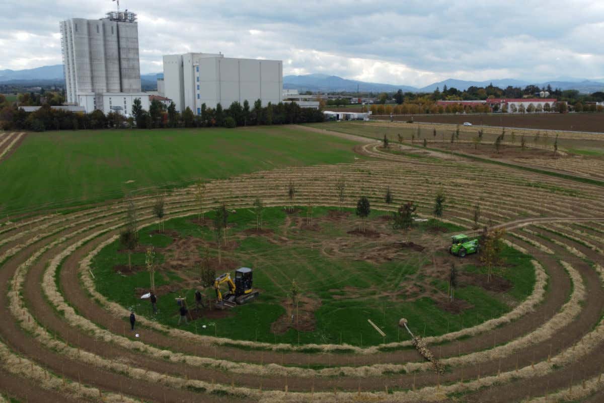 Il Bosco del Molino “Il Bosco del Molino” premia le migliori tesi di laurea magistrale dedicate all’ambiente