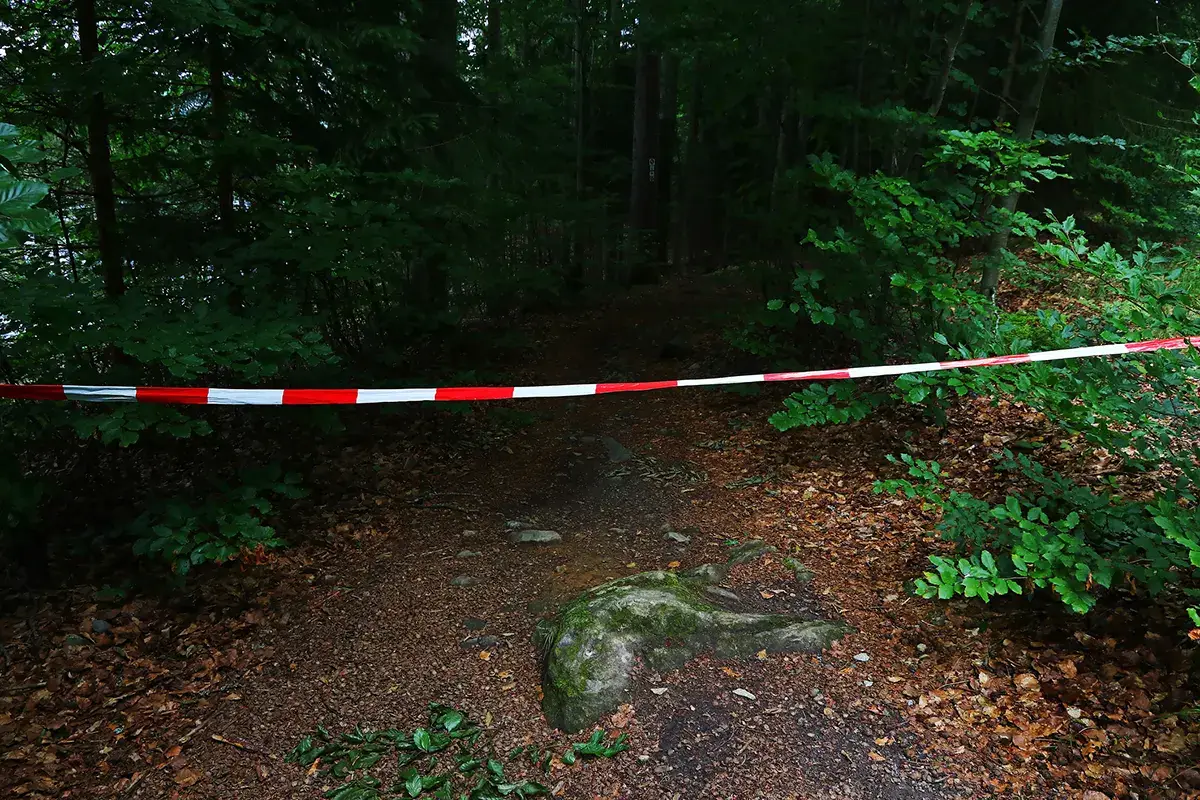 Il legionario pastry chef, le mille vite dell&rsquo;uomo che si &egrave; lasciato morire nel bosco