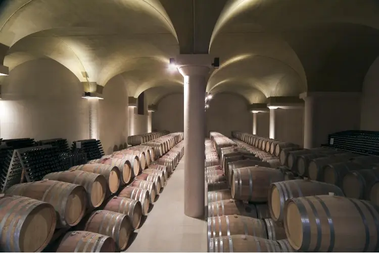 Moncaro, il buon vino delle Marche in uno scrigno
