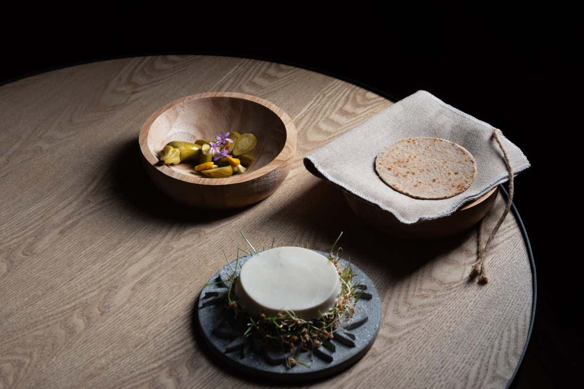 Grano germinato di Cinzia Mancini