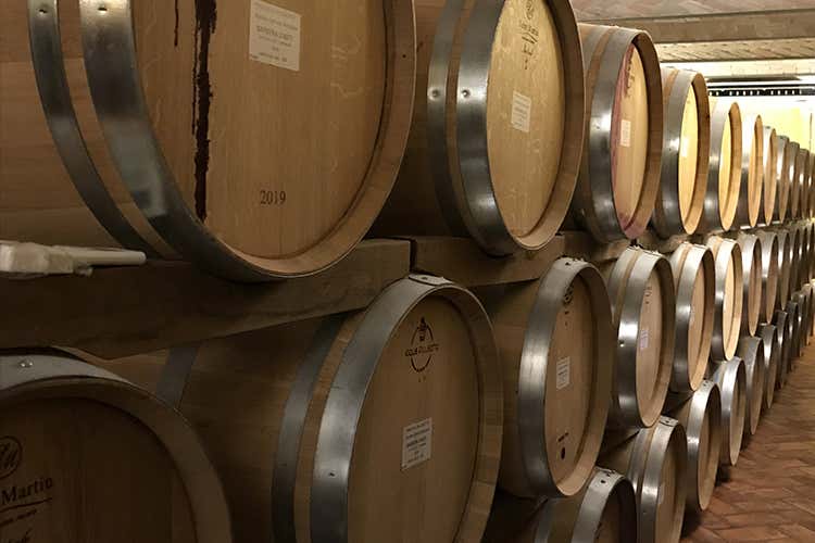 La Barbera d&rsquo;Asti si racconta Il Consorzio spinge il territorio