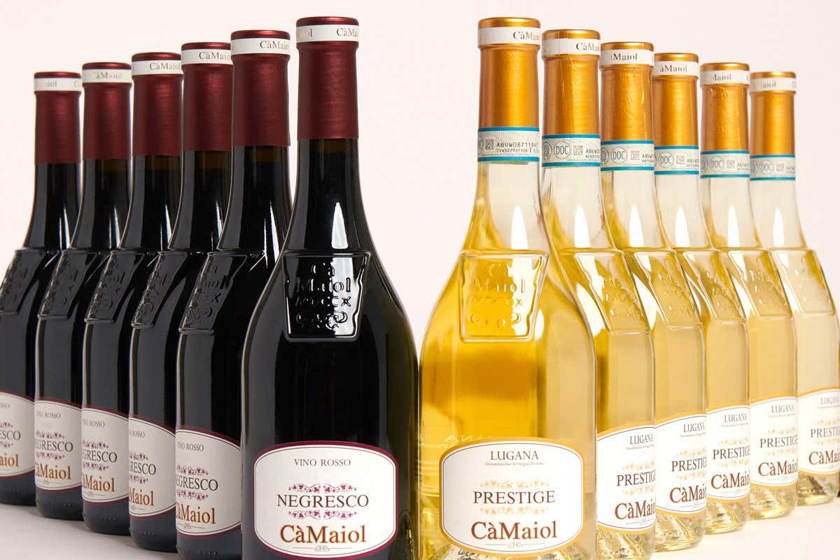 Lugana, da Cà Maiol esperienze sensoriali tra vino e natura