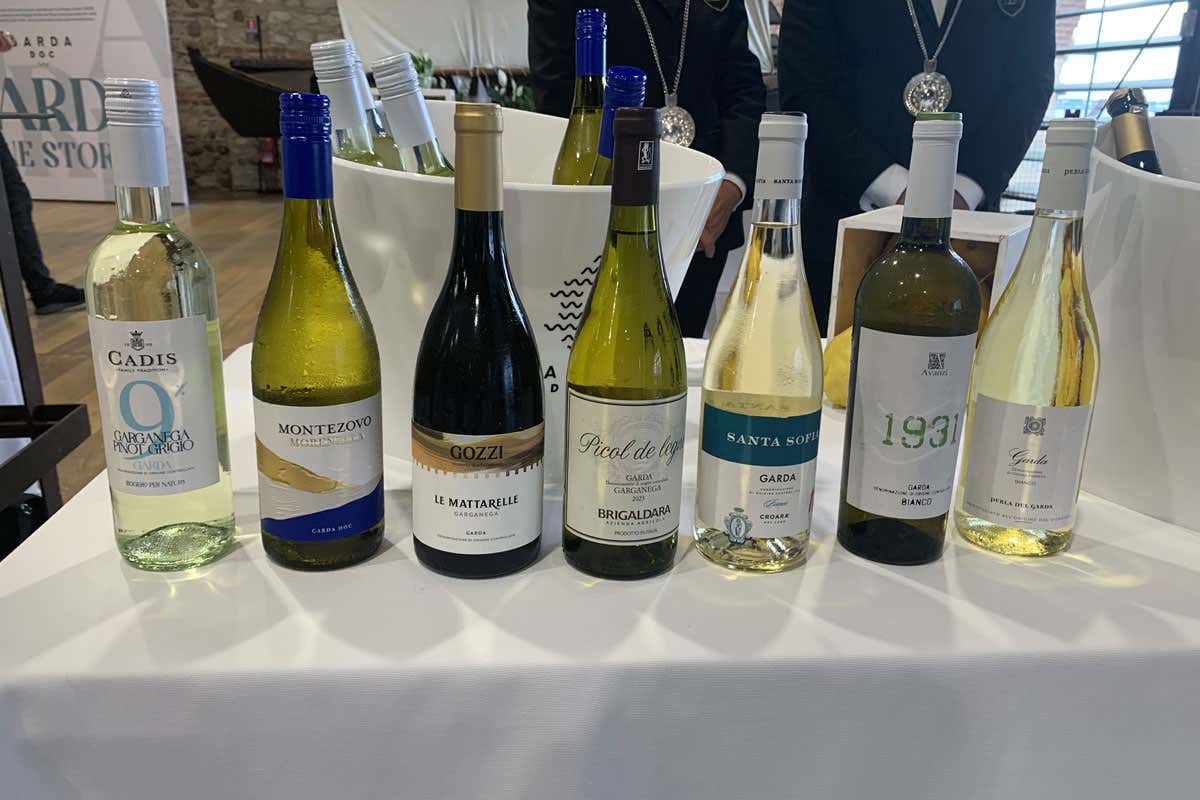 Consorzio Garda Doc tra vini low alcol, enoturismo e nuovi consumatori Consorzio Garda Doc tra vini low alcol, enoturismo e nuovi consumatori