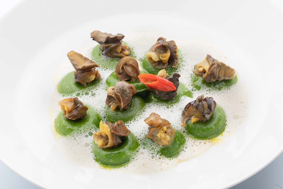 Bottoni ripieni di ortica e ricotta con lumache e salsa al Grechetto di Todi A Borgo Petroro colpisce subito la cucina di Oliver Glowig