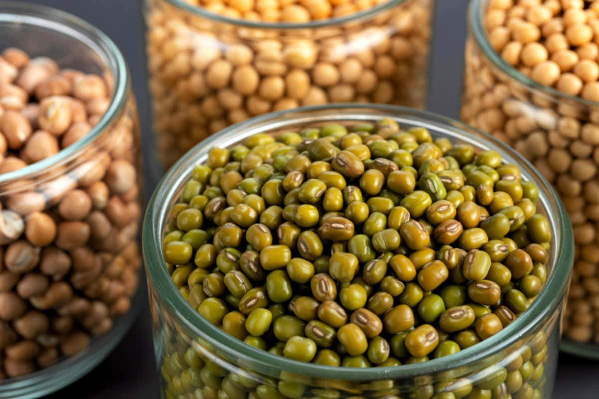 Botulino: food truck e sagre sotto la lente dopo i casi in Calabria e Sardegna Botulino: food truck e sagre sotto la lente dopo i casi in Calabria e Sardegna