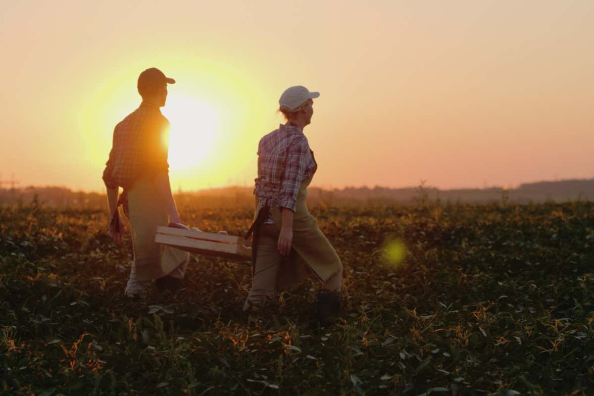 Agricoltura e caporalato: Lollobrigida firma il decreto