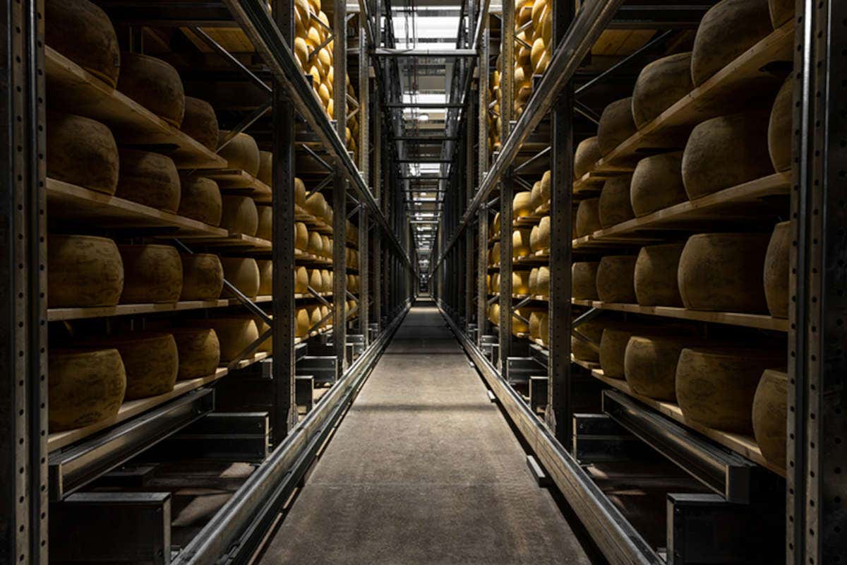 Il magazzino robottizato di Brazzale è la miglior innovazione sostenibile al World Dairy Forum 2022 Il magazzino robottizato di Brazzale è la miglior innovazione sostenibile al World Dairy Forum 2022