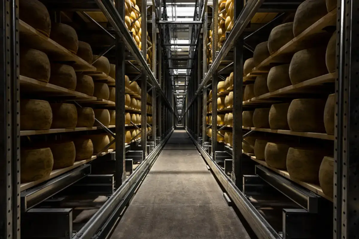 Il magazzino robottizato di Brazzale &egrave; la miglior innovazione sostenibile al World Dairy Forum 2022
