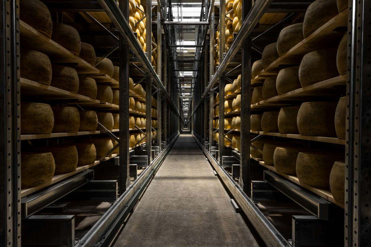 Il mondo caseario di Brazzale: un'evoluzione lunga otto generazioni 