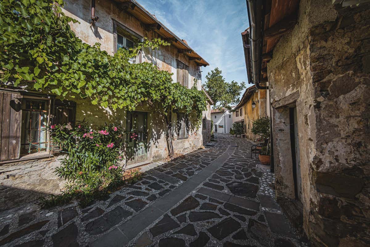 Alla scoperta della Slovenia occidentale, dove l’autunno accende vigne e borghi Alla scoperta della Slovenia occidentale, dove l’autunno accende vigne e borghi