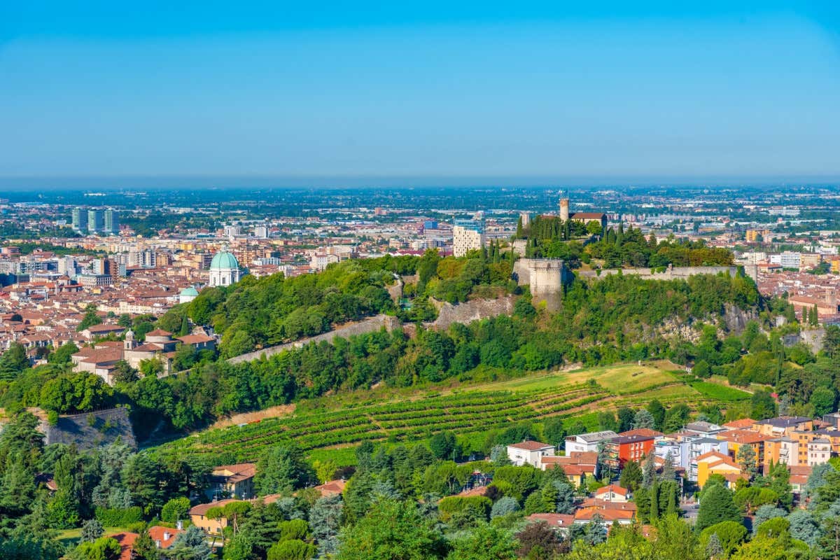Brescia riscopre i suoi vigneti urbani: altri due verso la rinascita