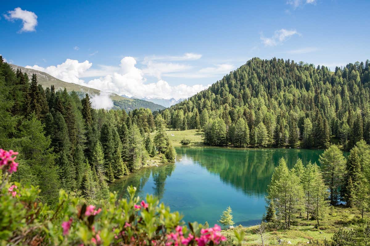 Estate a Bressanone: natura, sport e gusto nella città altoatesina dell'acqua