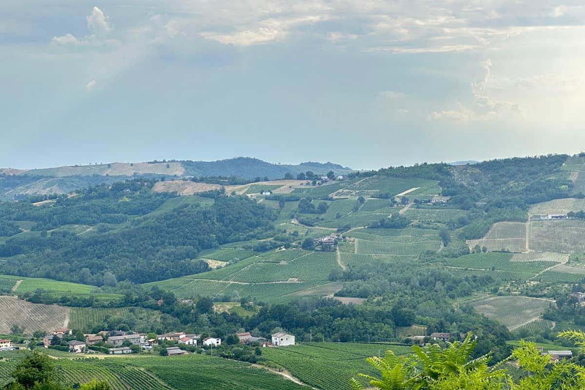 Il paesaggio che detta il ritmo delle giornate: la natura e l'orizzonte che circondano il Borgo di Golferenzo