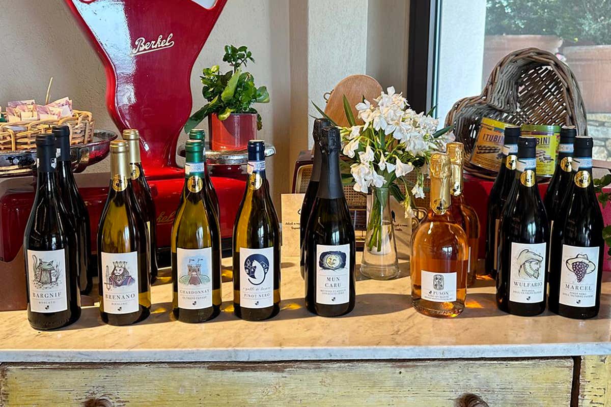La linea completa dei vini de Le Vigne dell’Angelo: dalle bollicine ai bianchi fermi, fino ai rossi della tradizione oltrepadana, un racconto firmato da Luigi Brega