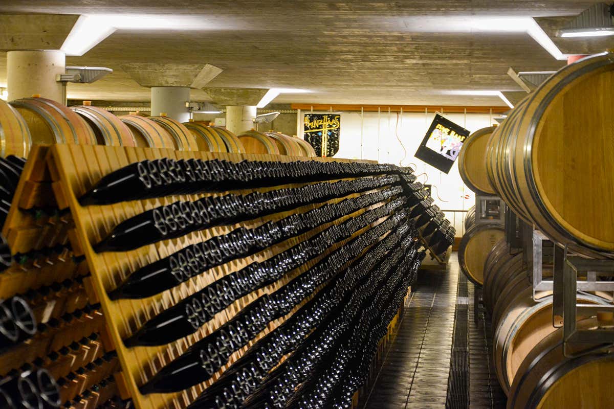 PN 1150, lo spumante che porta il Pinot Nero dove nessuno aveva il coraggio di arrivare PN 1150, lo spumante che porta il Pinot Nero dove nessuno aveva il coraggio di arrivare