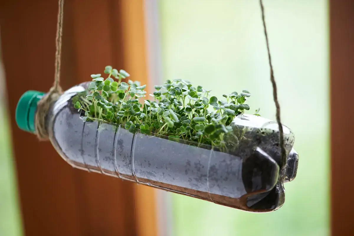 Perdersi in un bicchier d&rsquo;acqua... o in una bottiglia di plastica?