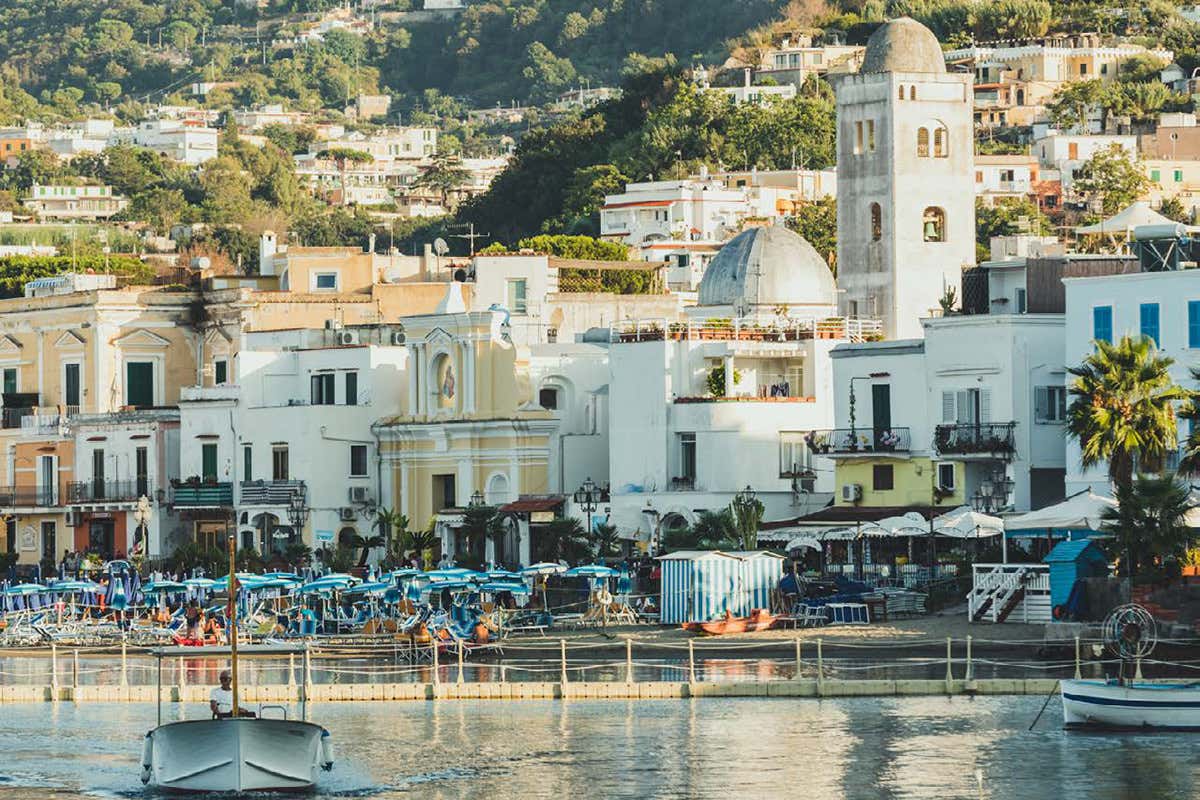 Ischia Safari, cuochi e pizzaioli per due giorni di cucina e solidarietà