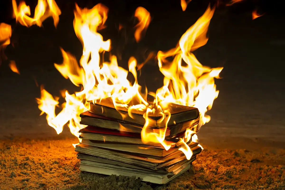 Cosa c&rsquo;&egrave; dei libri che fa venire la voglia di bruciarli? Perch&eacute; briciamo i libri? Alla scoperta della bibliofobia