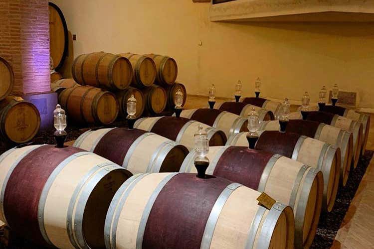 Bpm sostiene i produttori di Brunello di Montalcino - 