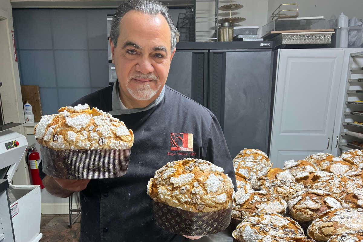 Nella Bruno's Bakery la pasticceria parla italiano Nella Bruno's Bakery la pasticceria parla italiano