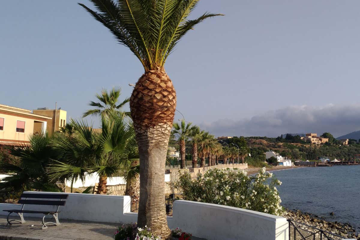 Alla scoperta del buccellato, il dolce di Natale che sembra un centro tavola Alla scoperta del buccellato, il dolce di Natale che sembra un centro tavola