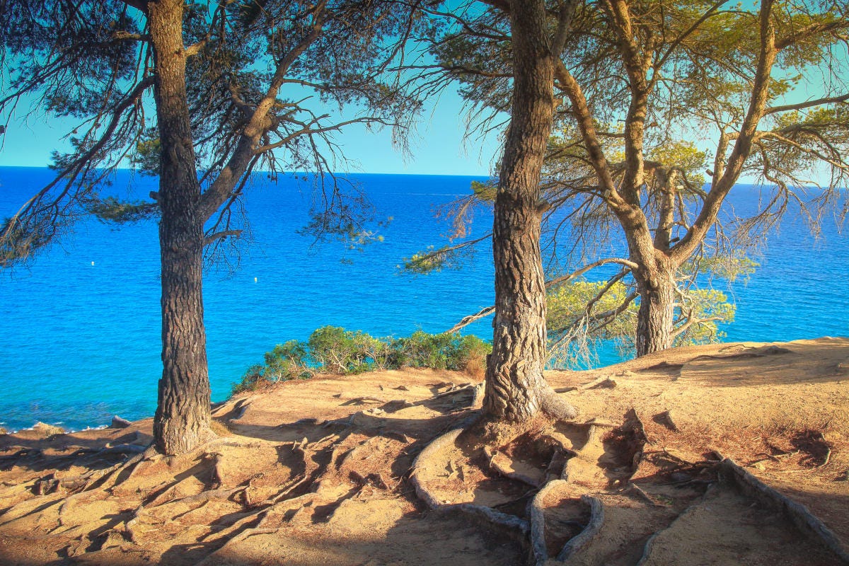 una spiaggia di Budoni Budoni (Sardegna) affida il turismo a un