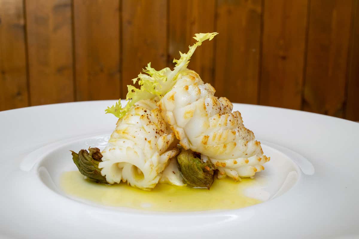 Calamaro scottato Hosteria Bugiarda, ecco il piatto per il Giro d'Italia