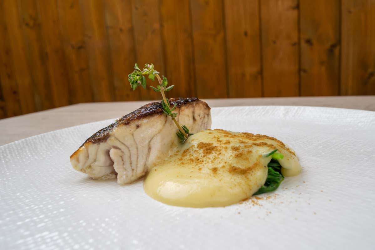 L'ombrina Hosteria Bugiarda, ecco il piatto per il Giro d'Italia