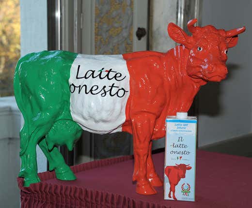 La mucca "Onestina" (foto Nick Zonna) La mucca "Onestina" (foto Nick Zonna)