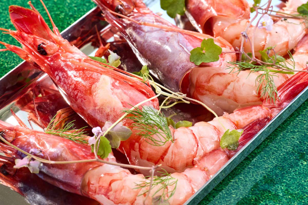 Estate a Portofino: il Vincenzo Dascanio Café è la nuova sosta vista mare