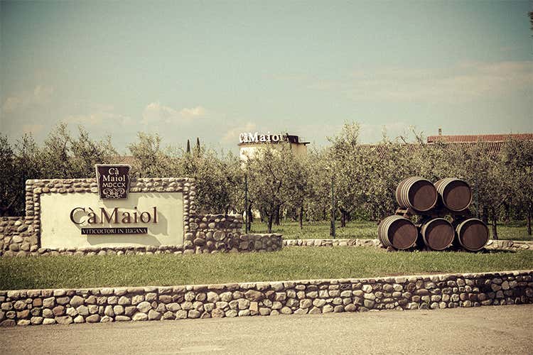 Cà Maiol è talento ed esperienza Vini espressione di un territorio unico Cà Maiol è talento ed esperienza Vini espressione di un territorio unico
